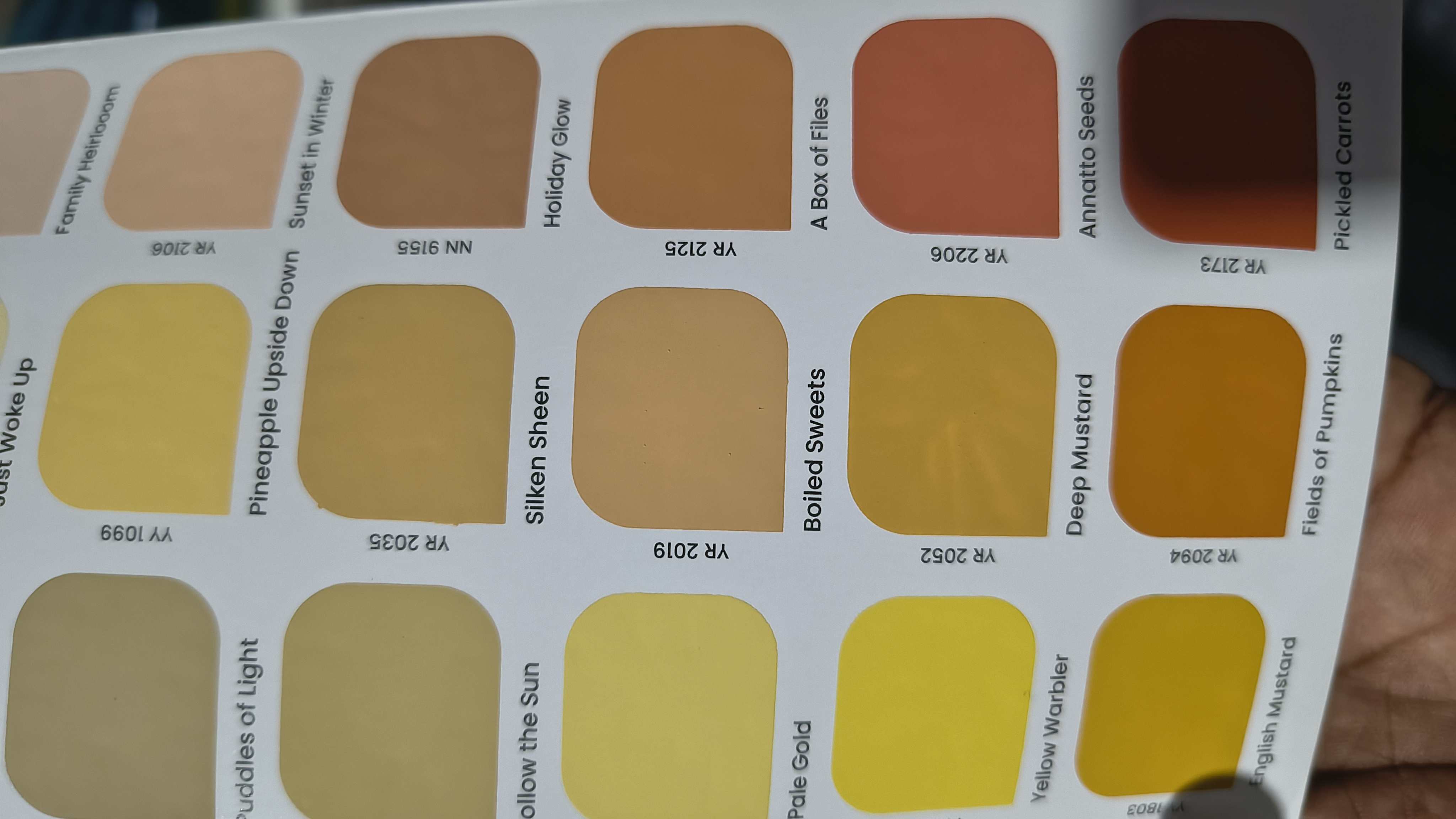 Solid colors lam
